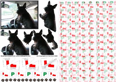 Scottie Dog in Car 3D Decoupage with Background