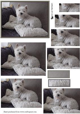 Westie Relaxing Pyramid