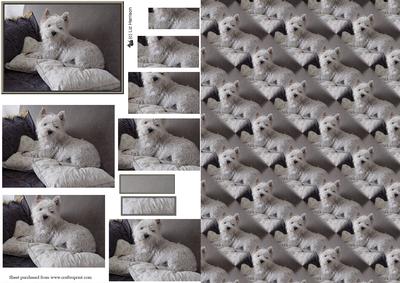 Westie Relaxing Pyramid with Background