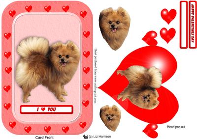 Pomeranian Heart Pop Out Card