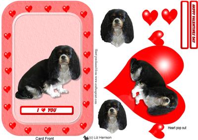 King Charles Spaniel Heart Pop Out Card