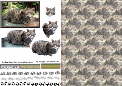 Tabby Cat Laid Down 3D Decoupage