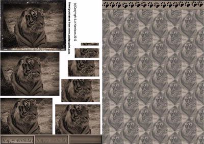 Tiger Vintage Style Pyramid with Background