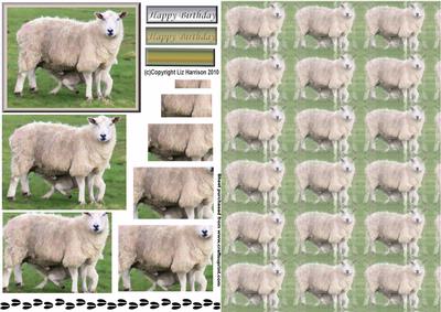 Sheep & Lamb Pyramid with Background