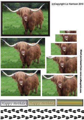 Highland Cow Pyramid