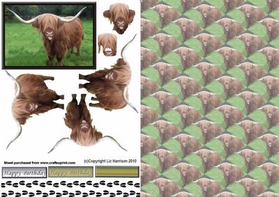 Highland Cow 3D Decoupage with Background