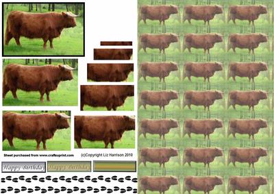 Highland Bull Pyramid with Background