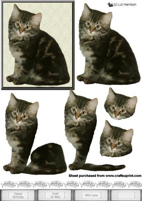 Tabby Kitten 3D Decoupage