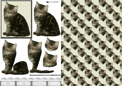 Tabby Kitten 3D Decoupage with Background