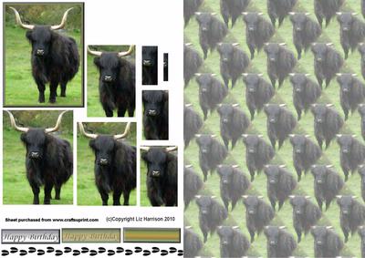 Black Bull Pyramid with Background