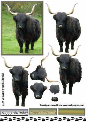 Black Bull 3D Decoupage