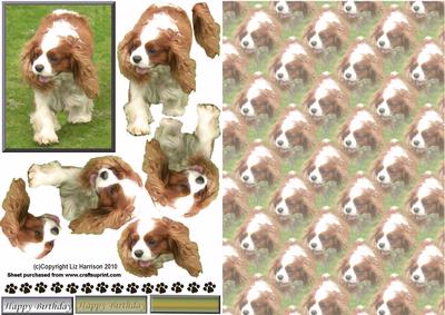 Cavalier King Charles Spaniel Walking 3D Decoupage with Background