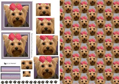 Yorkshire Terrier Pyramid with Background