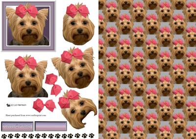Yorkshire Terrier Portrait 3D Decoupage with Background