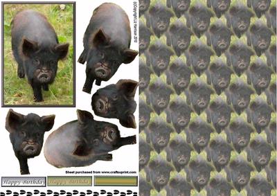 Pot Bellied Pig 3D Decoupage with Background