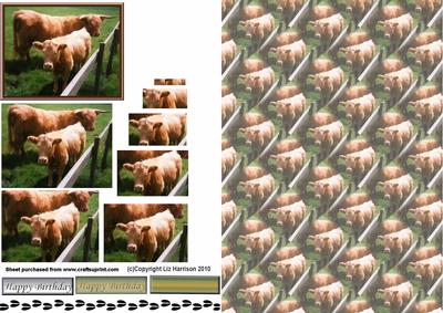 Highland Cow & Calf Pyramid with Background