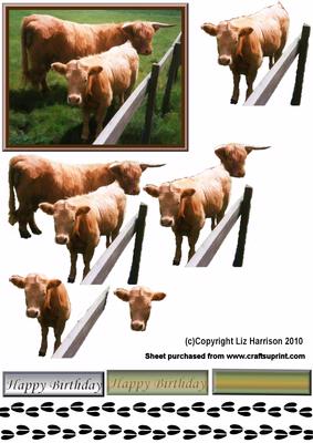 Highland Cow & Calf 3D Decoupage