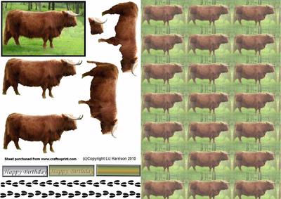 Highland Bull 3D Decoupage with Background