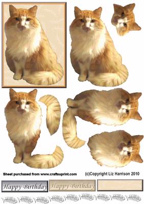 Fluffy Ginger Cat 3D Decoupage