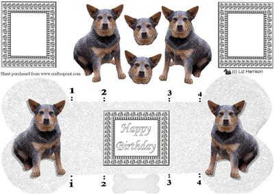 Australian Cattle Dog Bone Shaped Card