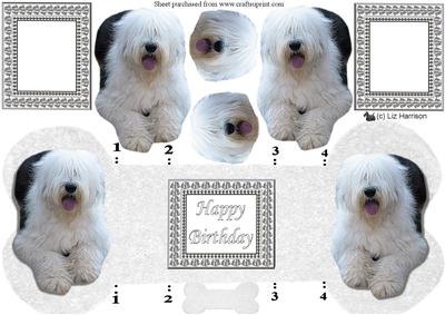 Old English Sheep Dog Bone Shaped Card