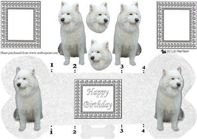 Samoyed Bone Shaped Card