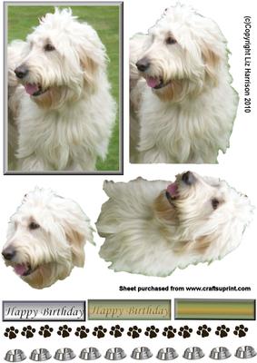 Labradoodle 3D Decoupage