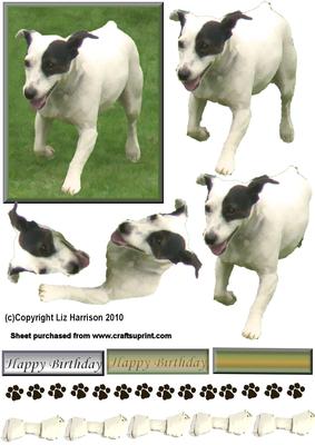 Jack Russell Running 3D Decoupage