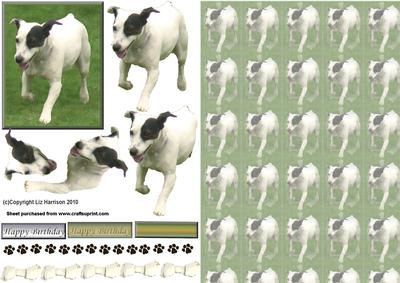 Jack Russell Running 3D Decoupage with Background