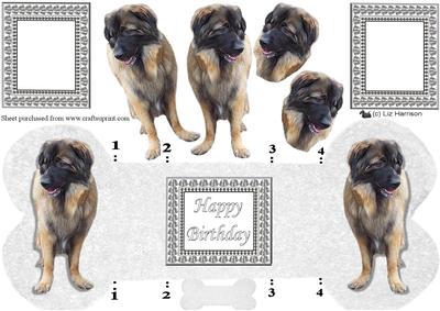 Estrela Mountain Dog Bone Shaped Card