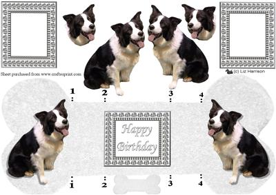 Border Collie Bone Shaped Card
