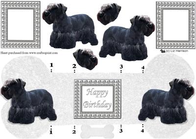 Cesky Terrier Bone Shaped Card