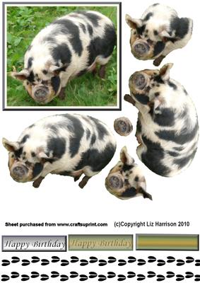 Pig Pink & Black 3D Decoupage