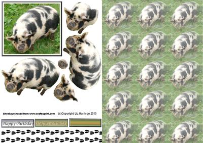 Pig Pink & Black 3D Decoupage with Background