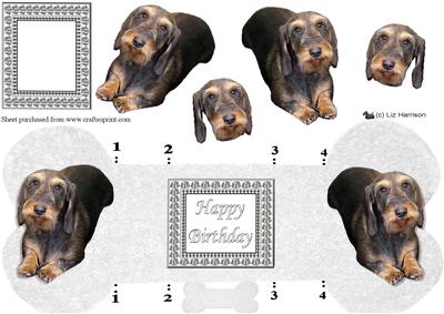 Dachshund,miniature Wire Haired,bone Shaped Card