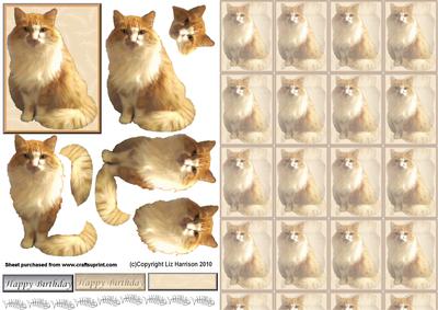 Fluffy Ginger Cat Sat 3D Decoupage with Background