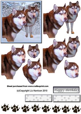 Husky Pair in Snow 3D Decoupage