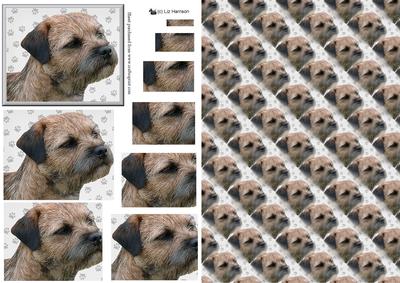 Border Terrier Portrait Pyramid with Background