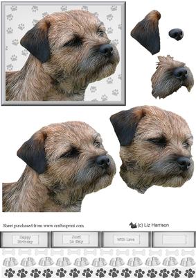 Border Terrier Portrait 3D Decoupage