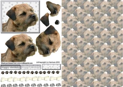 Border Terrier Portrait 3D Decoupage with Background