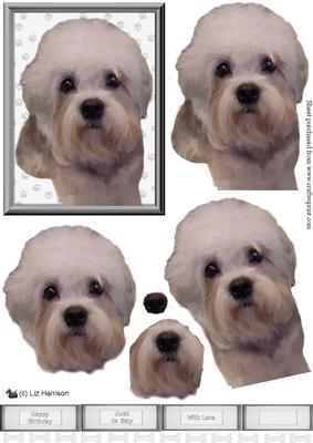 Dandie Dinmont Dog 3D Decoupage