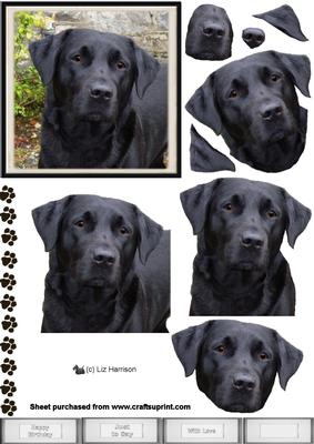 Black Labrador Portrait 3D Decoupage