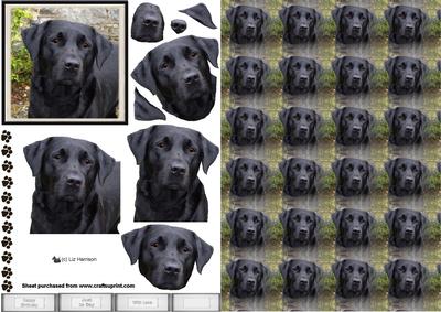 Black Labrador Portrait 3D Decoupage with Background