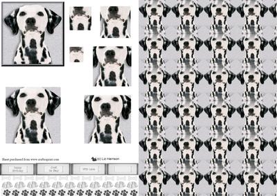 Dalmatian Portrait Pyramid with Background