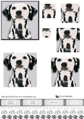 Dalmatian Portrait Pyramid