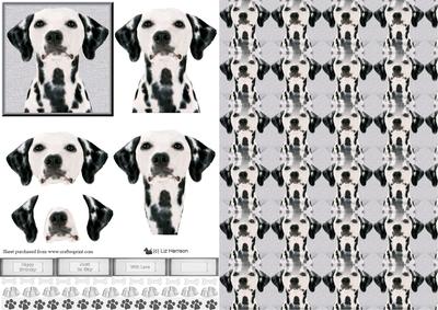 Dalmatian Dog Portrait 3D Decoupage with Background