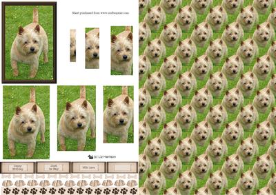 Cairn Terrier Pyramid with Background