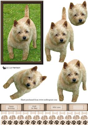 Cairn Terrier 3D Decoupage