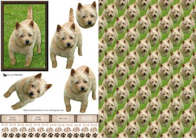 Cairn Terrier 3D Decoupage with Background