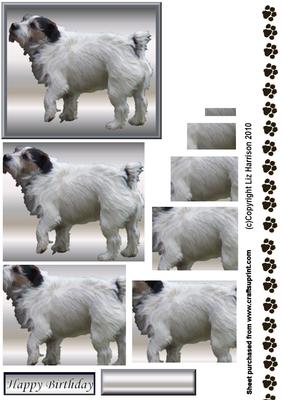 Jack Russell Standing Pyramid